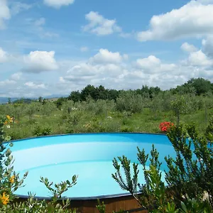 Sant' Antonio , Manciano Italia